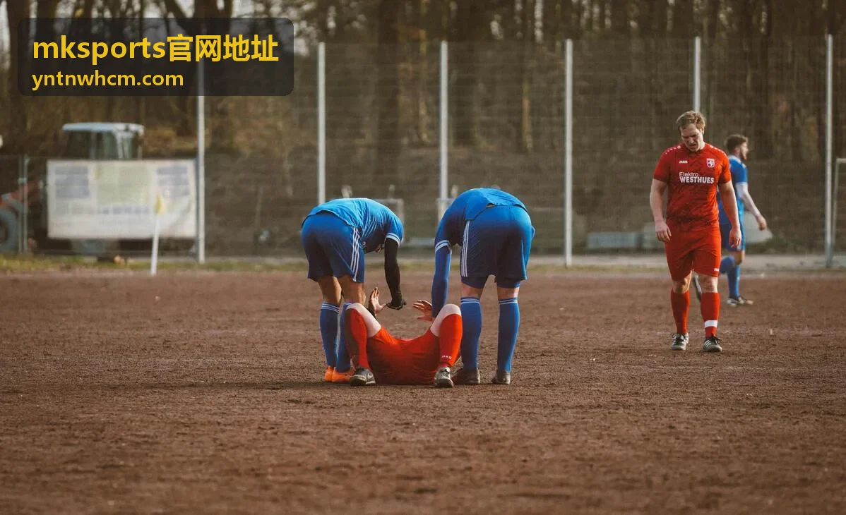 mksports官网地址入口指引栏目配图
