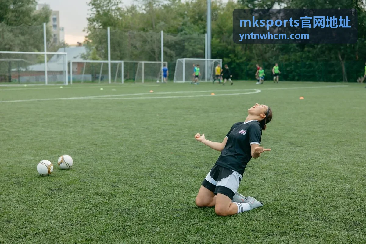mksports官网地址平台服务说明栏目配图